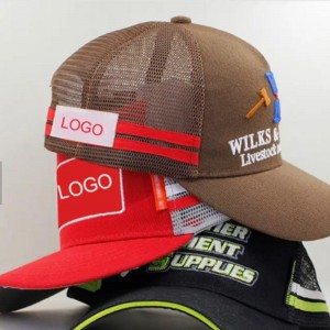 Broderie 3D personalizată 5 panouri pe ușă Baseball Sport Cap Cap Cam Cap Cap